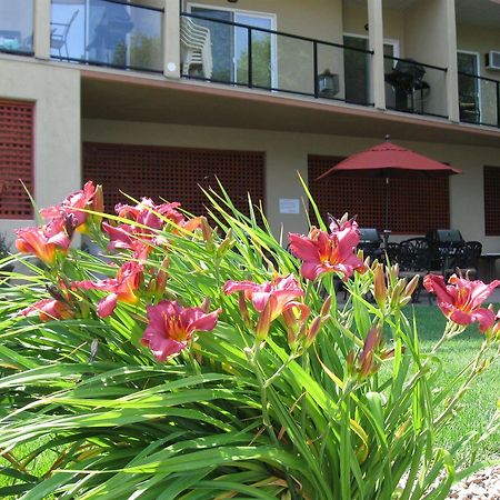 אוסויוס Desert Surfside Waterfront Accommodations מראה חיצוני תמונה